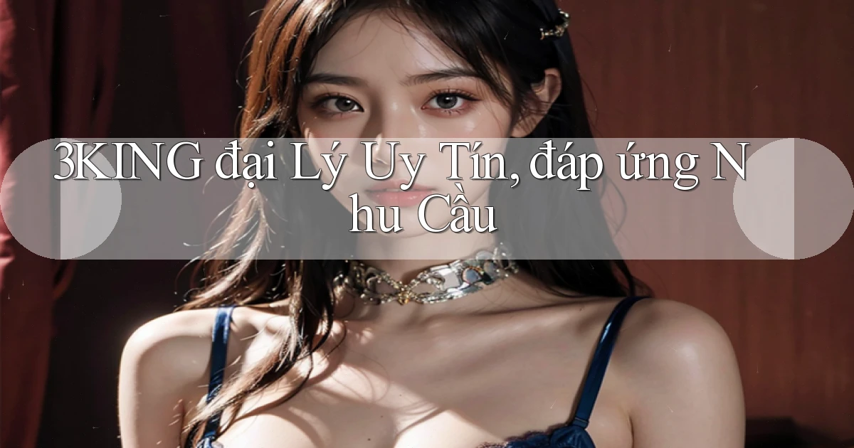 3king  đại lý uy tín, đáp ứng nhu cầu