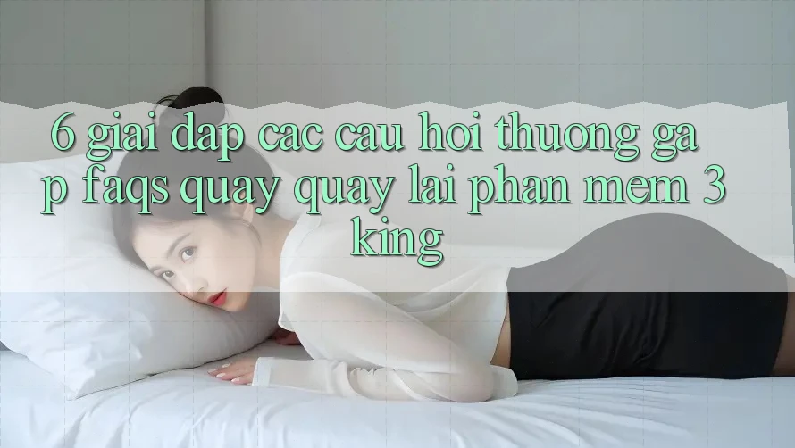 6. Giải Đáp Các Câu Hỏi Thường Gặp (FAQs) Quay quay lại Phần mềm 3king