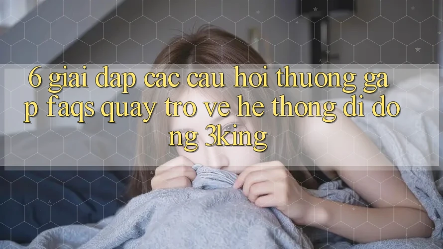 6. Giải Đáp Các Câu Hỏi Thường Gặp (FAQs) Quay trở về Hệ thống di động 3king