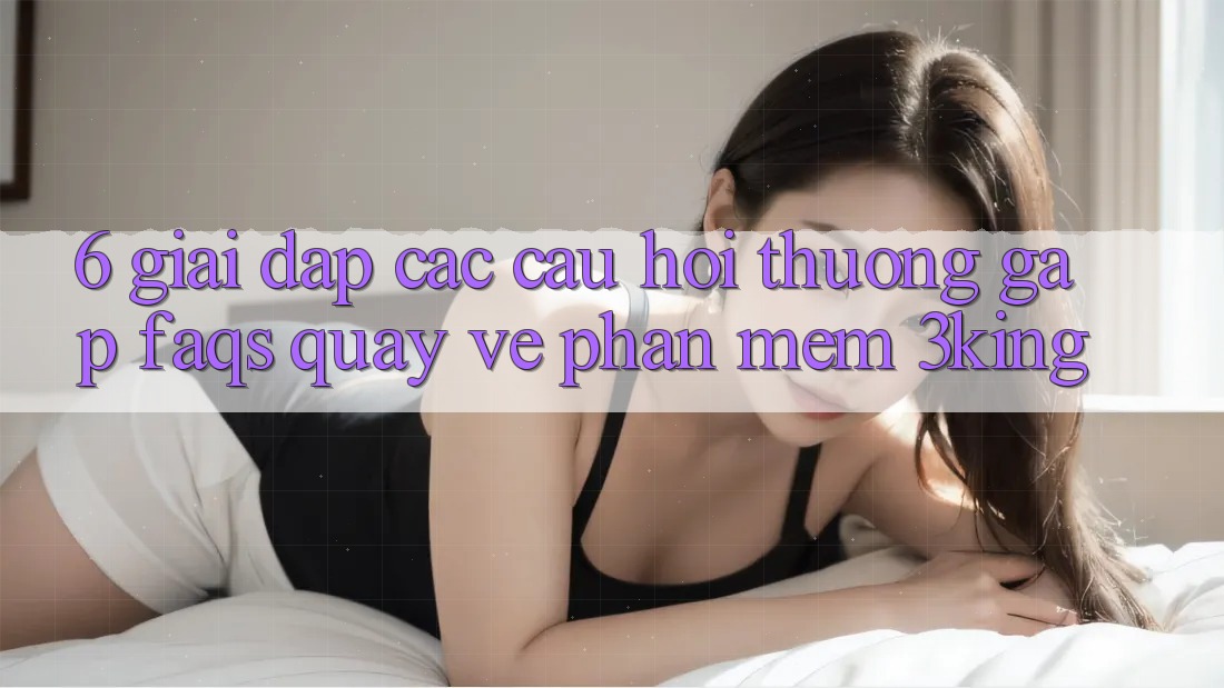 6. Giải Đáp Các Câu Hỏi Thường Gặp (FAQs) Quay về Phần mềm 3king