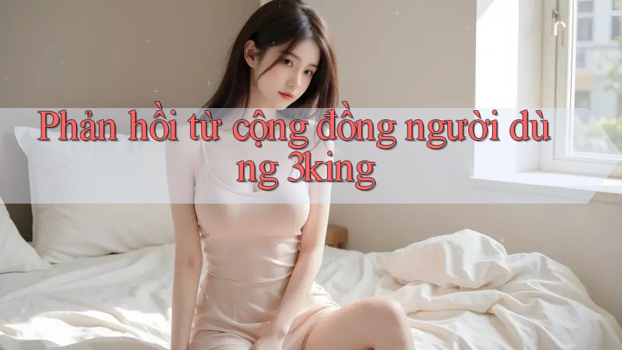 Phản hồi từ cộng đồng người dùng 3king