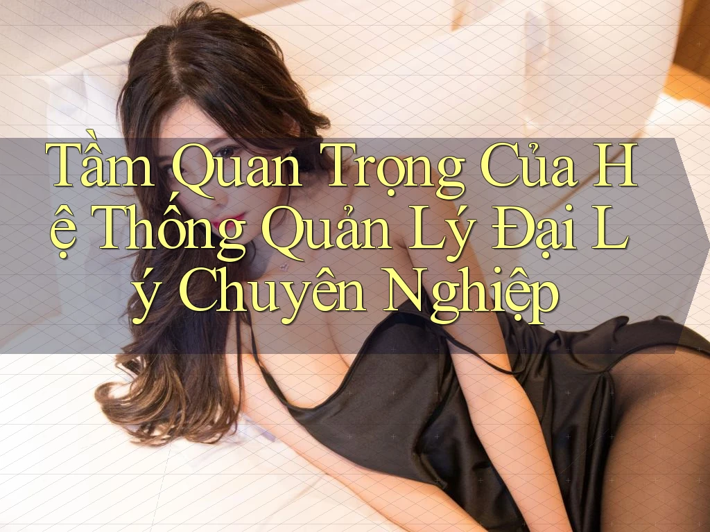 Tầm Quan Trọng Của Hệ Thống Quản Lý Đại Lý Chuyên Nghiệp