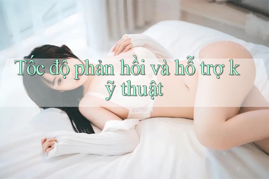 Tốc độ phản hồi và hỗ trợ kỹ thuật